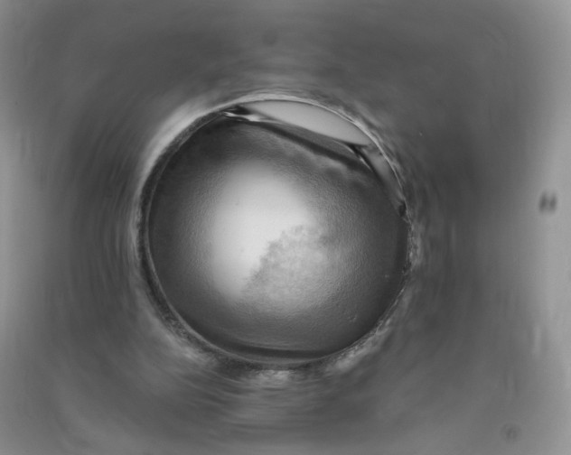 X0000090630152200708141441