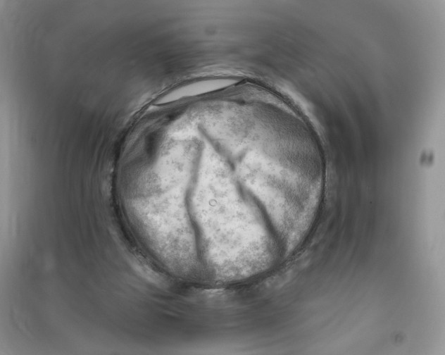 X0000090630153200708141441