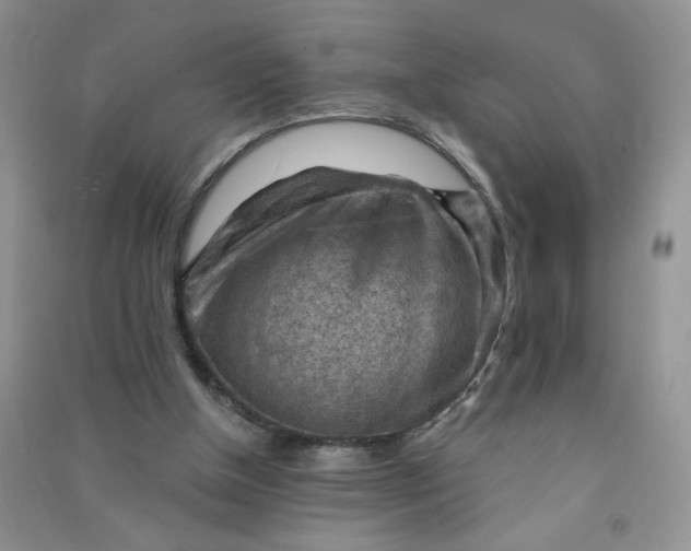X0000090630154200708141441