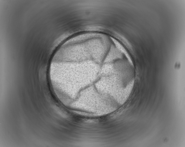 X0000090630155200708141441