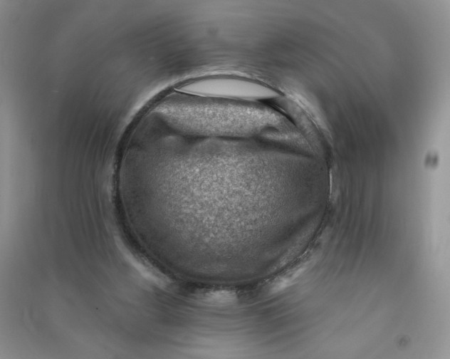 X0000090630156200708141441