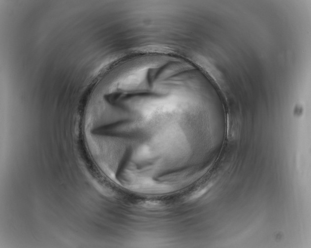 X0000090630157200708141441