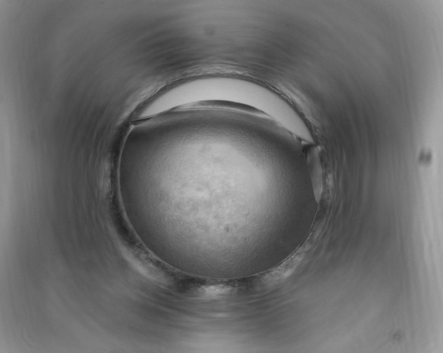 X0000090630158200708141441
