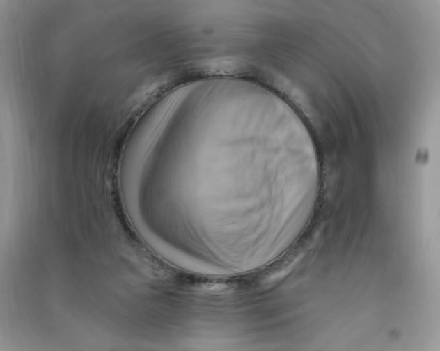 X0000090630161200708141441