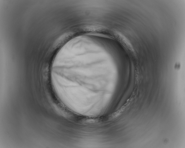 X0000090630163200708141441