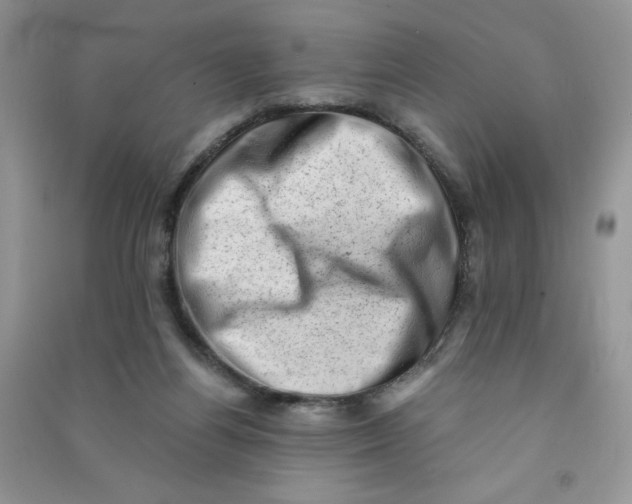X0000090630164200708141441
