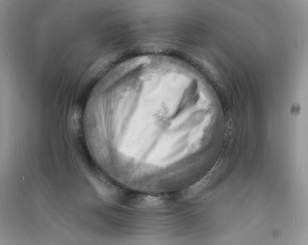 X0000090630166200708141441
