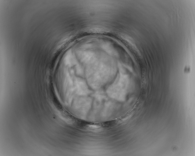 X0000090630167200708141441