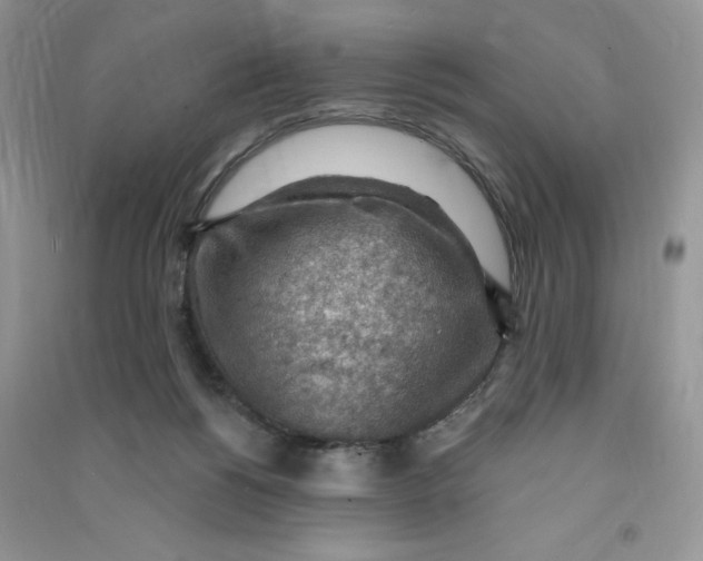 X0000090630168200708141442
