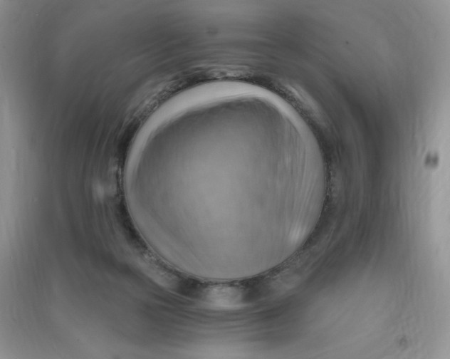 X0000090630169200708141442