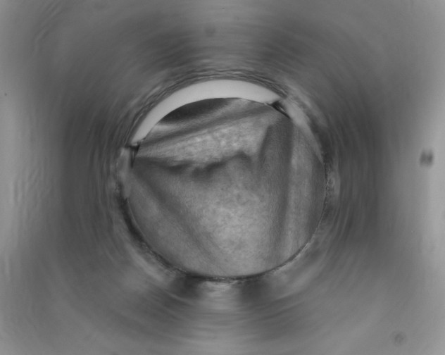 X0000090630170200708141442