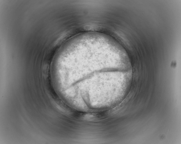 X0000090630171200708141442