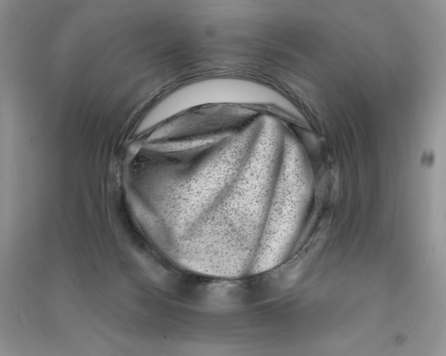 X0000090630172200708141442