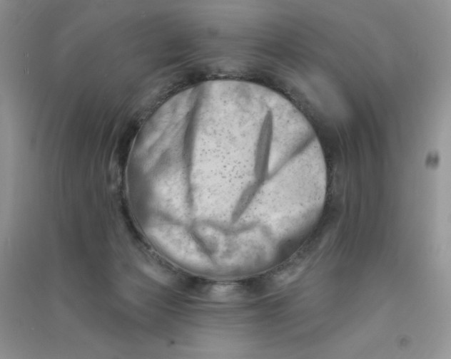 X0000090630173200708141442