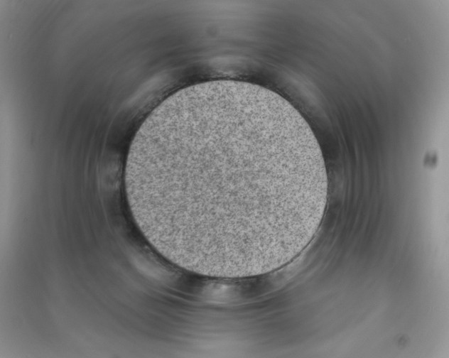 X0000090630174200708141442
