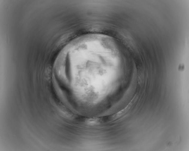 X0000090630175200708141442
