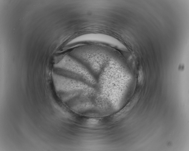 X0000090630176200708141442