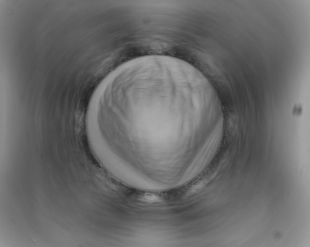 X0000090630177200708141442