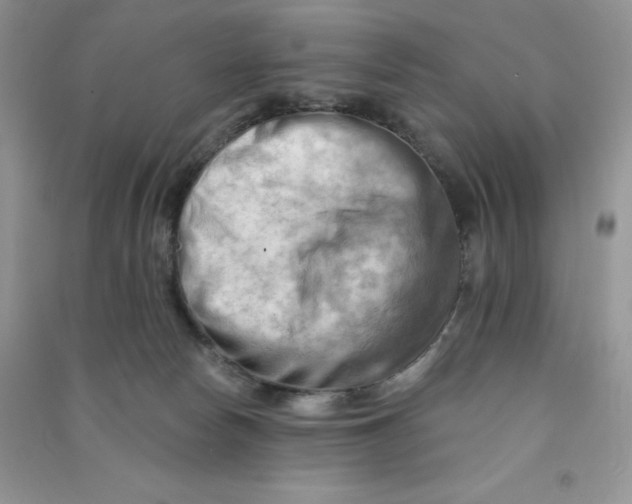 X0000090630178200708141442