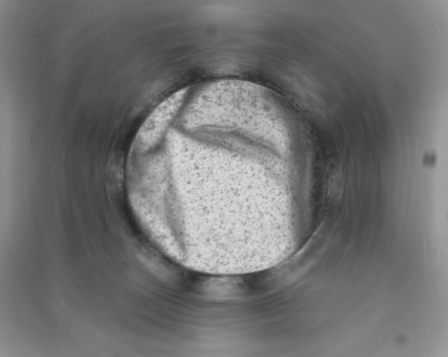 X0000090630179200708141442