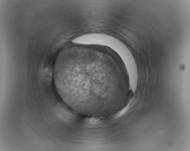 X0000090630180200708141442