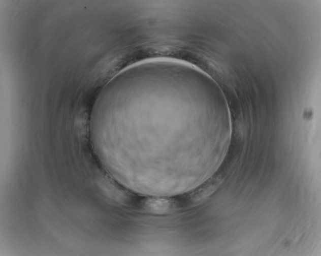 X0000090630181200708141442