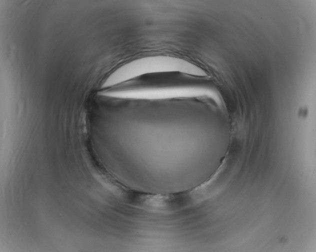 X0000090630182200708141442