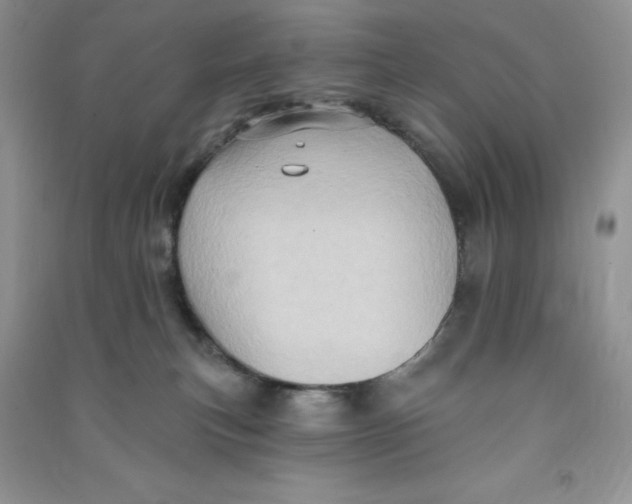 X0000090630183200708141442