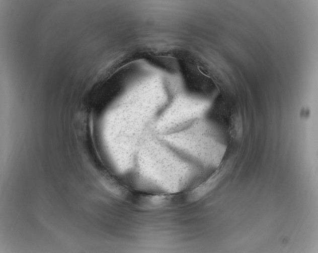 X0000090630184200708141442