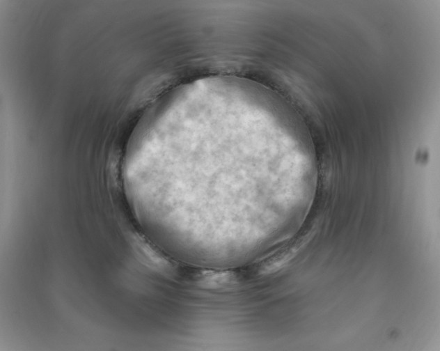 X0000090630185200708141442
