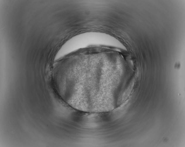X0000090630186200708141442