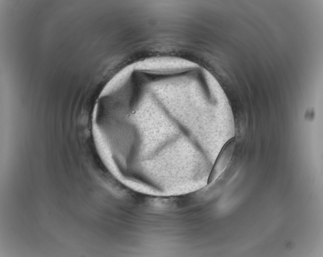 X0000090630187200708141442