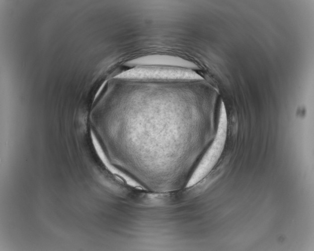 X0000090630188200708141442