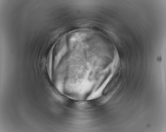 X0000090630189200708141442