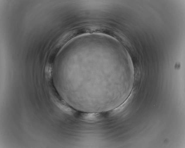 X0000090630191200708141442