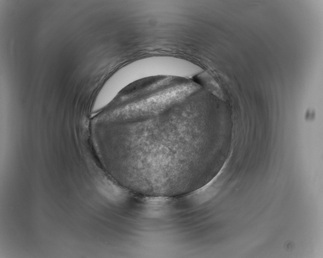 X0000090630192200708141442