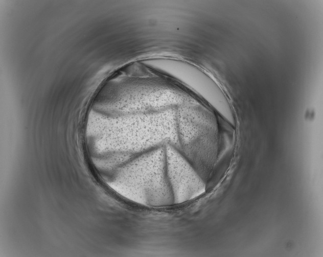X0000090630193200708141441