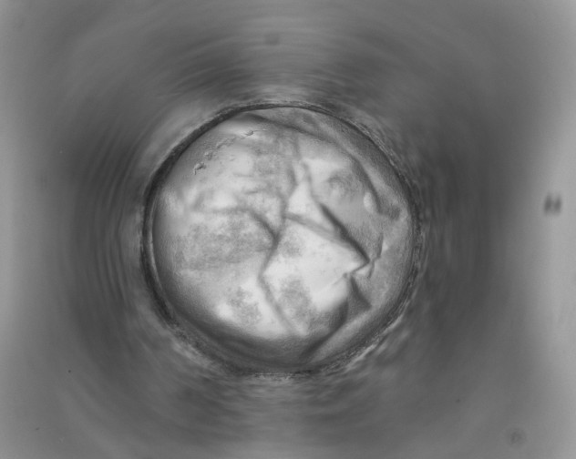 X0000090630194200708141441