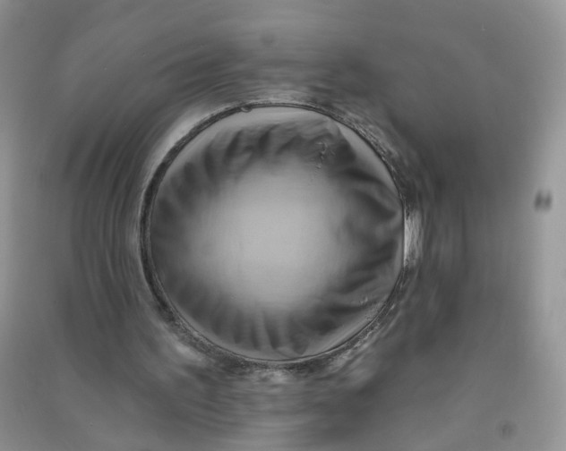 X0000090630195200708141441
