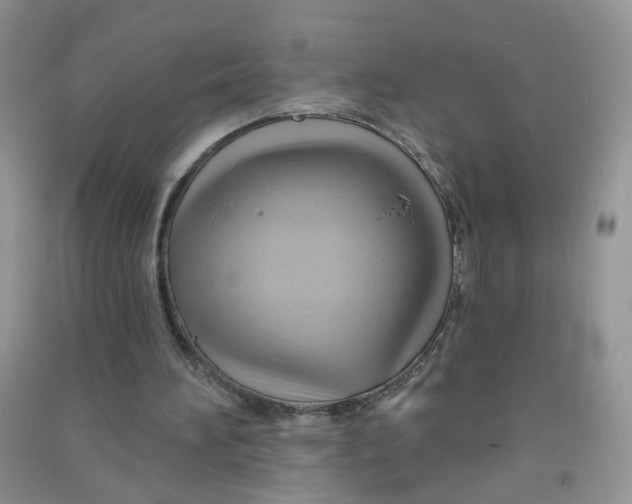 X0000090630196200708141441