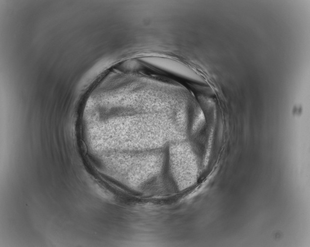 X0000090630197200708141441