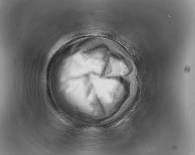 X0000090630198200708141441