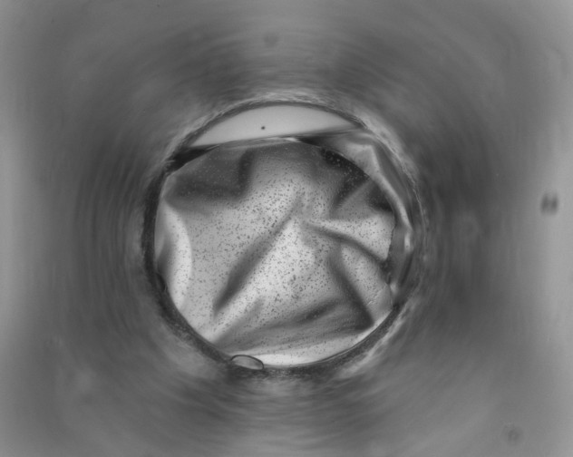 X0000090630201200708141441
