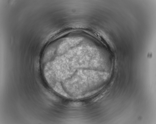 X0000090630202200708141441
