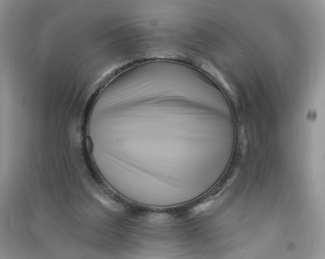 X0000090630203200708141441