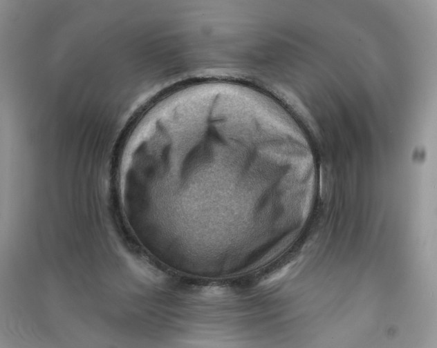 X0000090630204200708141441