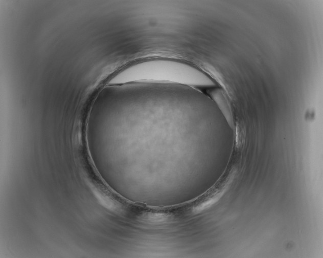 X0000090630205200708141441