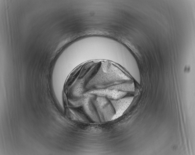 X0000090630207200708141441