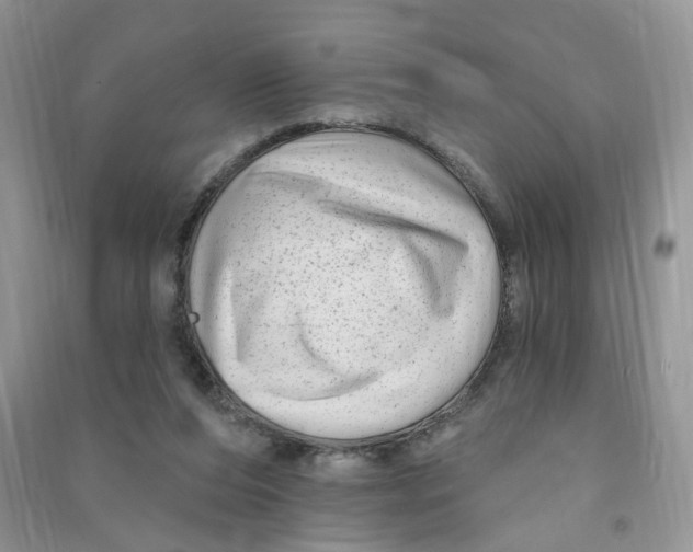 X0000090630208200708141441