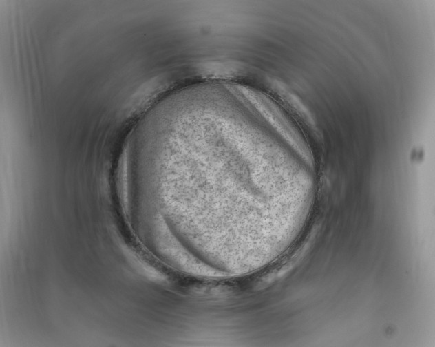 X0000090630209200708141441